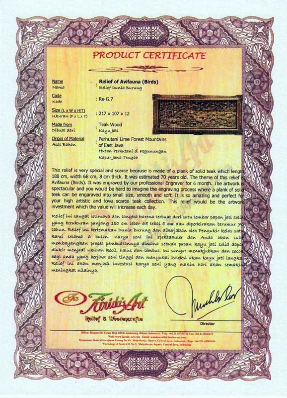 Kerajaan Burung - Kawanan Burung